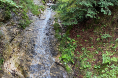 Schwangau