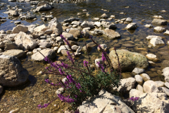 ⁨Vers-Pont-du-Gard⁩⁩