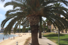 Bandol