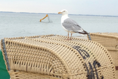Insel Fehmarn
